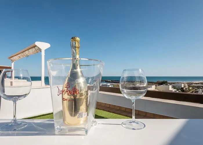 Gin Fizz Port Nature Agde